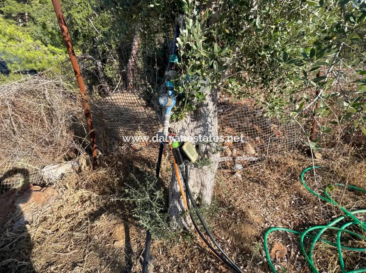 Çandır Full Deniz Ve Göl Manzaralı 500M2 Satılık 2B Tarla