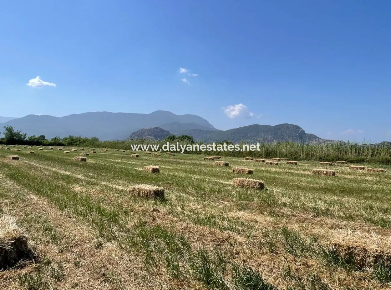 Dalyan'da İztuzu Yoluna Sıfır 6,500M2 Satılık Tarla