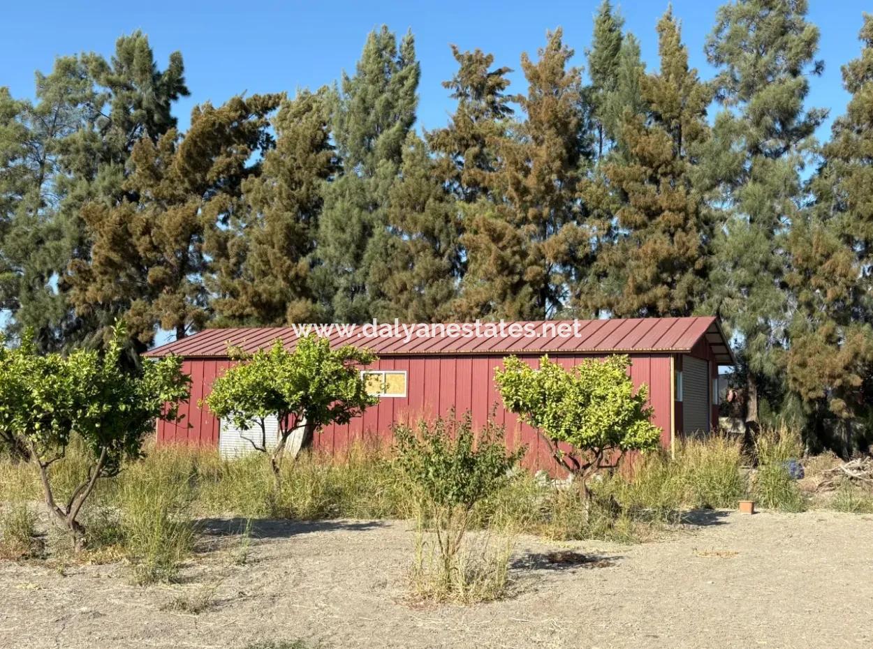 Eskiköy'de 19.663M2 Çiftlik Arazisi Ve Ev Satılıktır