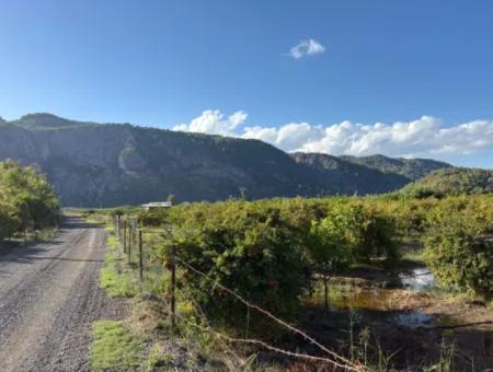 Ortaca Yeşilyurt'ta 3900M2 Satılık Arsa